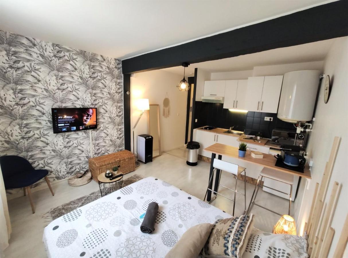 Апартаменти Le Jasmin Des Carmes - Hypercentre - Netflix Тулуза Екстер'єр фото