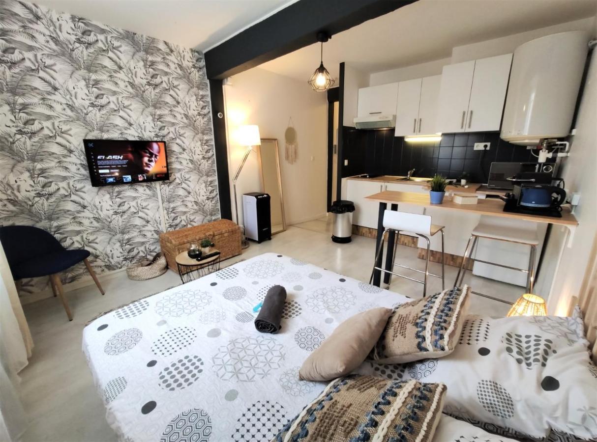 Апартаменти Le Jasmin Des Carmes - Hypercentre - Netflix Тулуза Екстер'єр фото